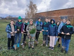 Борисовские школьники приняли участие в экологической акции «Посади дерево»