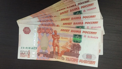 Жительница Борисовки перевела мошенникам почти 50 тысяч рублей