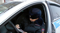 Пять водителей оштрафованы во время рейда «Детское кресло» в Борисовке