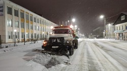 12 единиц техники и 17 человек личного состава привлечены к уборке борисовских дорог от снега 