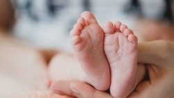 3 545 белгородок стали мамами впервые в 2023 году