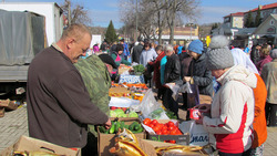 Сельскохозяйственная ярмарка в Борисовке собрала около 40 участников