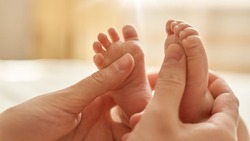 Сервис «Рождение ребёнка» позволит белгородцам зарегистрировать новорождённого без посещения ЗАГСа