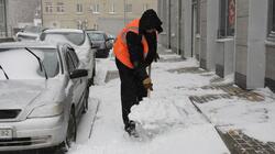 Белгородские коммунальные службы расчистили от снега более 3 тысяч дворовых территорий