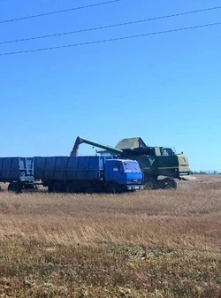 Аграрии Борисовского района завершили уборку льна масличного