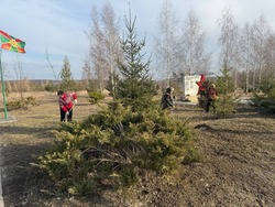 Трудовые коллективы Борисовского района приняли активное участие в экологическом субботнике
