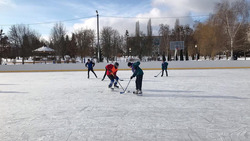Соревнования по хоккею прошли в Борисовском районе