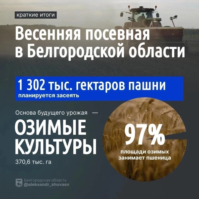 Аграрии Белгородской области засеяли 220 тыс. гектаров зерновых и зернобобовых культур