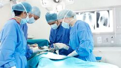 Белгородские врачи в 2019 году намерены начать делать операции по пересадке костного мозга