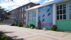 Норовирусная инфекция стала причиной заболевания детей в школе Борисовского района