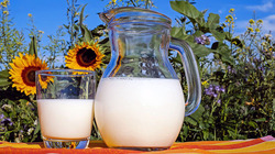 Регион попал в десятку лучших рейтинга по среднесуточному надою молока