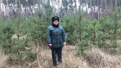 Сотрудники Борисовского лесничества приступили к патрулированию хвойных насаждений с 1 декабря