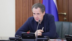 Губернатор Вячеслав Гладков одобрил дизайн-проекты детского санатория «Бригантина»
