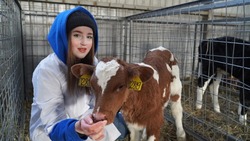 Алина Якименко работает лаборантом-учётчиком молока в ООО «Борисовские фермы» 