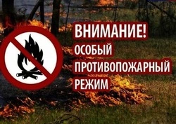 Особый противопожарный режим в Белгородской области продлён до 24 августа