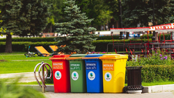 Белгородские власти закупят более 7,5 тысячи контейнеров для раздельного сбора мусора