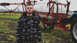 Земледельцы компании «Урожай» занялись химобработками посевов в Борисовском районе