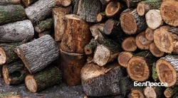 Вячеслав Гладков рассказал о подготовке к сложной зиме