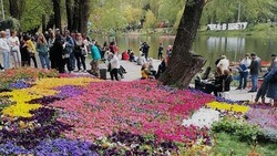 Борисовцы смогут получить яркие впечатления в рамках фестиваля «Белгородское лето»