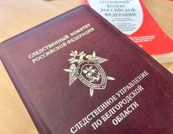 Борисовец заплатит штраф 100 тыс. руб. за высказанную угрозу применения насилия в адрес полицейских 