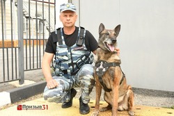 Верный друг и незаменимый помощник. Чем занимаются кинологи со своими четвероногими напарниками