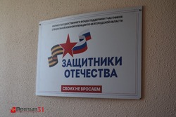 Выездной приём для участников СВО и их семей провели в Борисовке