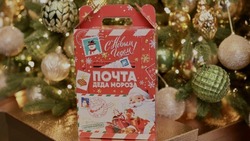 Белгородским детям начнут выдавать новогодние подарки в декабре 
