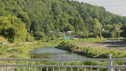 Первые работы по расчистке реки Ворсклы начнутся с Борисовского района