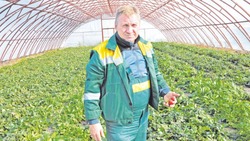 Борисовец Юрий Васичкин: «Моя деятельность помогает решать проблемные вопросы импортозамещения»