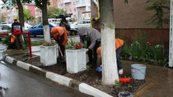 Проект по озеленению дворов многоквартирных домов стартовал в Белгородской области