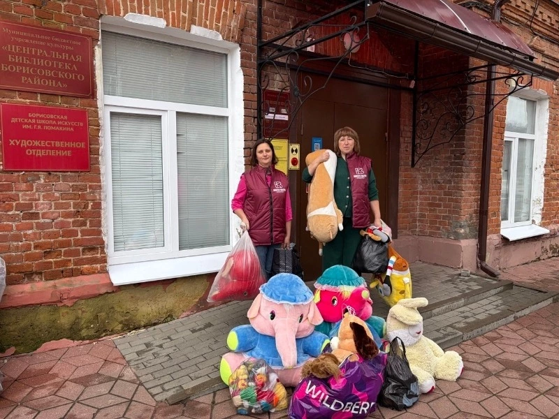 Центральная библиотека и волонтёры культуры присоединились к акции «ЧИСТО СВОИ.ИГРУШКИ»