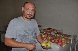 Аграрии сельхозпредприятий Борисовского района занялись уборкой выращенных культур