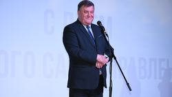 Представители местного самоуправления получили награды в Борисовке