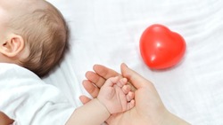 192 белгородские семьи получили выплаты на рождение пятого или последующего ребёнка в прошлом году 