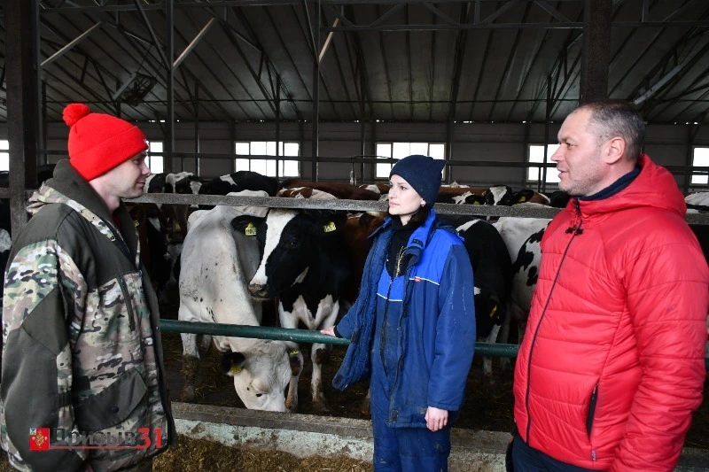 «Борисовские фермы»: 10 лет впечатляющего роста и успеха