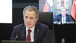 Вячеслав Гладков – о проведении подомового обхода жильцов МКД с индивидуальным отоплением 
