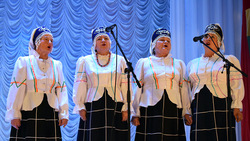 Танцевальные и вокальные коллективы Борисовки уже завтра выступят для пенсионеров