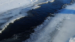 Спасатели предупредили жителей Борисовского района об опасности тонкого льда