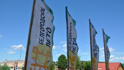 Более 5 000 борисовцев посетили уличный фестиваль «Белгородское лето» в посёлке