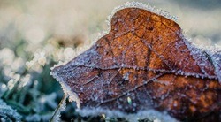 Белгородские синоптики предупредили жителей о заморозках до –2 градусов