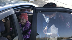 Госавтоинспекторы проверили наличие детских кресел у борисовских водителей