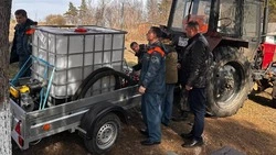 Смотр готовности сил и средств к пожароопасному сезону прошёл в Борисовском районе 