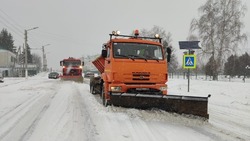 Борисовские коммунальщики устраняют последствия снегопада 