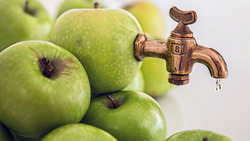 Компания «Агро-Белогорье» запустит производство яблочного сока под белгородским брендом
