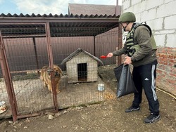 Бойцы  Краснояружской территориальной обороны продолжат кормление домашних животных и скота