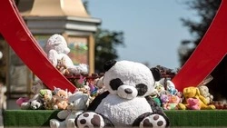  Вячеслав Гладков рассказал о поступлении 3,5 млн рублей на счёт Фонда помощи раненым детям