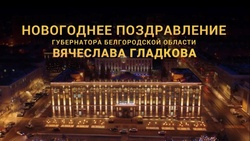 Губернатор Белгородской области подвёл итоги уходящего года в новогоднем видеопоздравлении