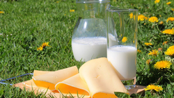 Союзмолоко предложило не считать молочной продукцию с растительными маслами