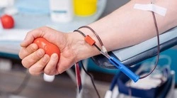 Почти 12 000 Почётных доноров Белгородской области получили ежегодные выплаты в 2025 году