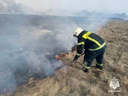 Бдительность и ответственность. Сотрудник МЧС предупредил об опасности сжигания сухой травы